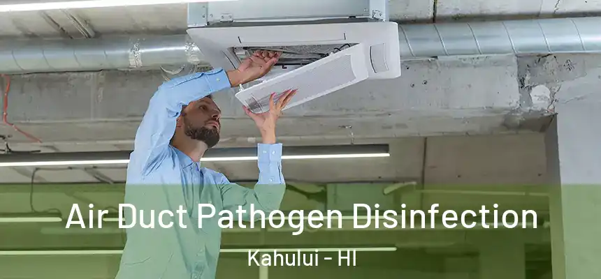 Air Duct Pathogen Disinfection Kahului - HI