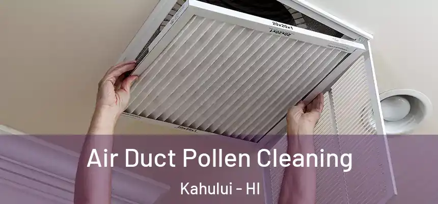 Air Duct Pollen Cleaning Kahului - HI