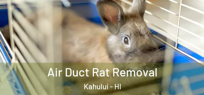 Air Duct Rat Removal Kahului - HI