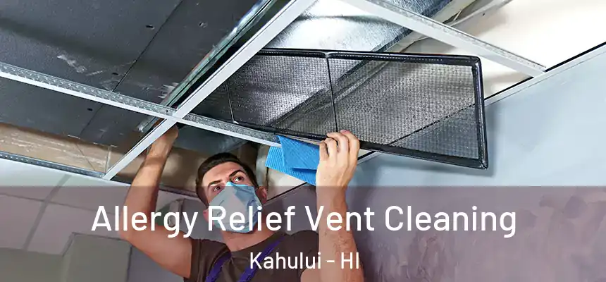  Allergy Relief Vent Cleaning Kahului - HI