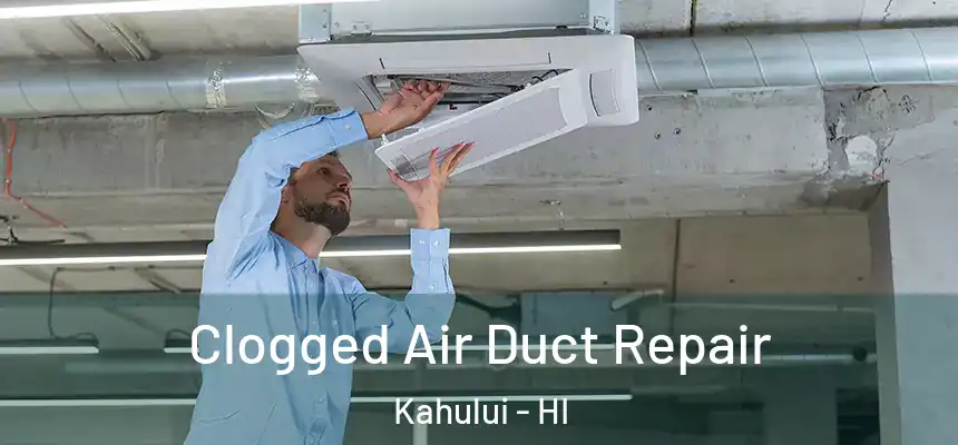  Clogged Air Duct Repair Kahului - HI