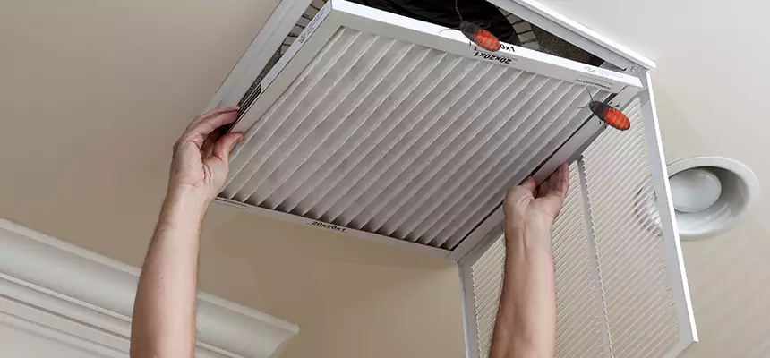 Preventive Cockroach-Proofing for Ducts in Kahului