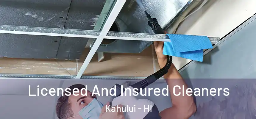 Licensed And Insured Cleaners Kahului - HI