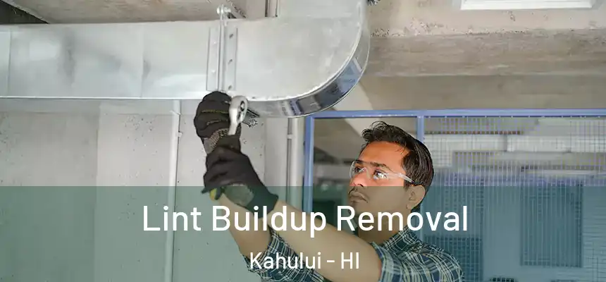  Lint Buildup Removal Kahului - HI