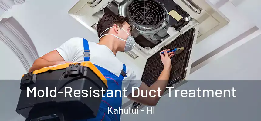  Mold-Resistant Duct Treatment Kahului - HI