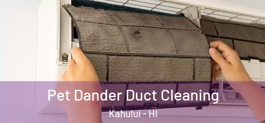  Pet Dander Duct Cleaning Kahului - HI