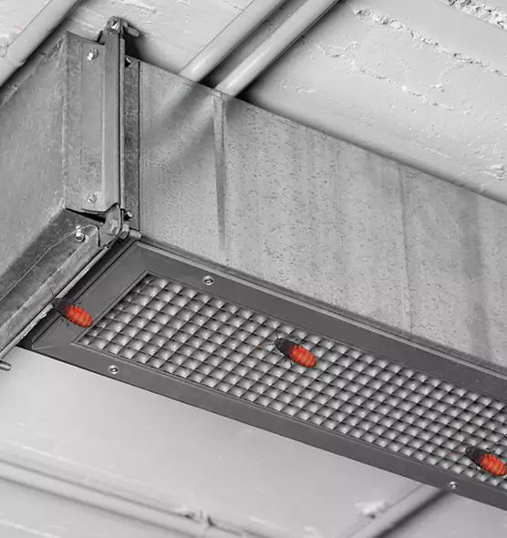 About Air Duct Cockroach Removal in Kahului, HI