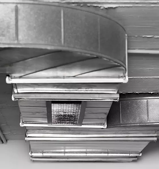 Professional Air Duct Pest Removal in Kahului, HI