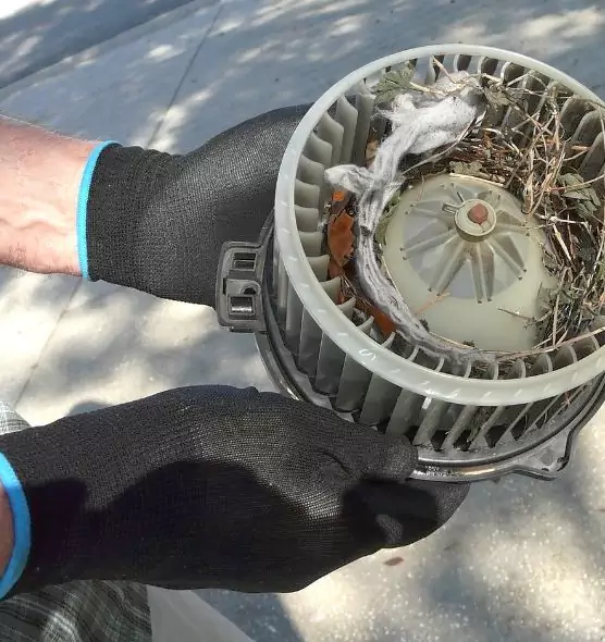 About Air Duct Rat Removal in Kahului, HI