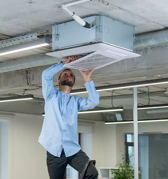 Advanced Rodent Droppings In Vents in Kahului, HI