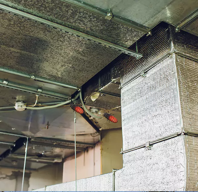 Why Homeowners & Businesses Trust Us in Kahului, HI?