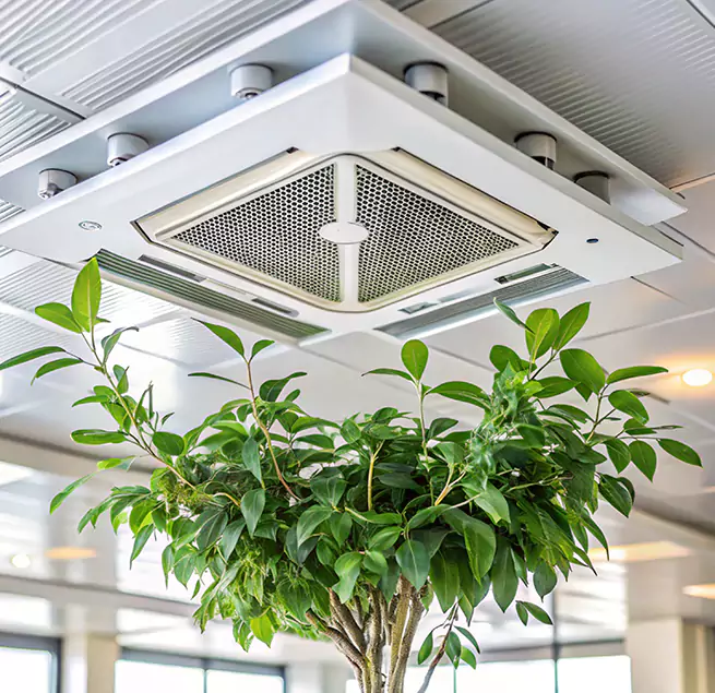 Why Homeowners & Businesses Trust Us in Kahului, HI?