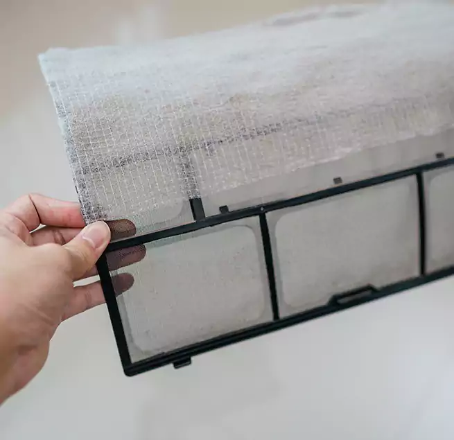 Why Homeowners & Businesses Trust Us in Kahului, HI?