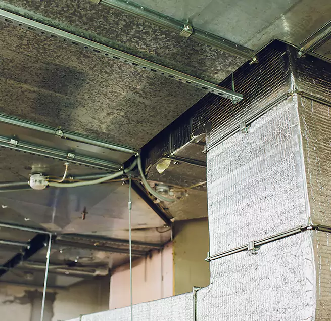 Why Homeowners & Businesses Trust Us in Kahului, HI?