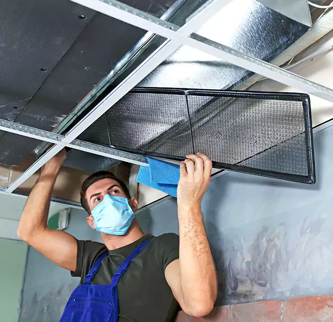 Why Homeowners Businesses Trust Us in Kahului, HI