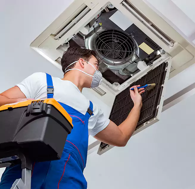 Why Homeowners & Businesses Trust Us in Kahului, HI?