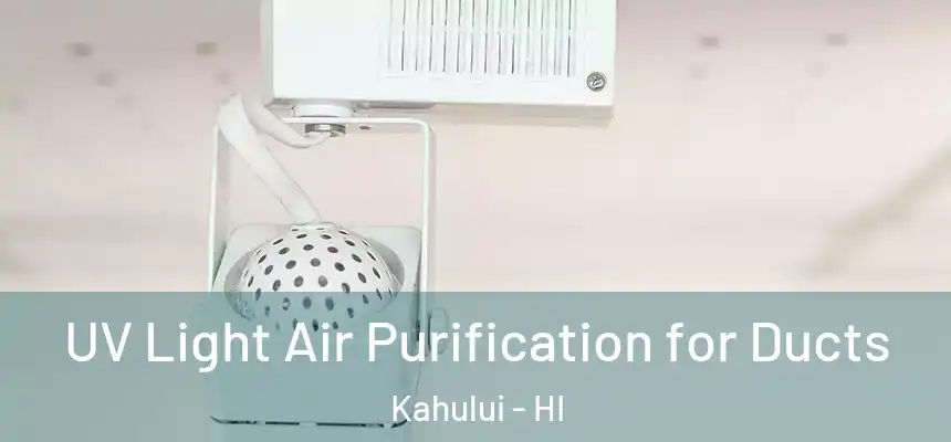  UV Light Air Purification for Ducts Kahului - HI